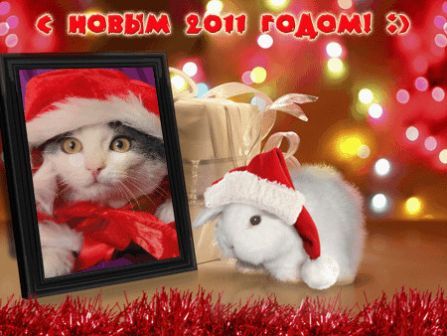 2011 зеркало.jpg